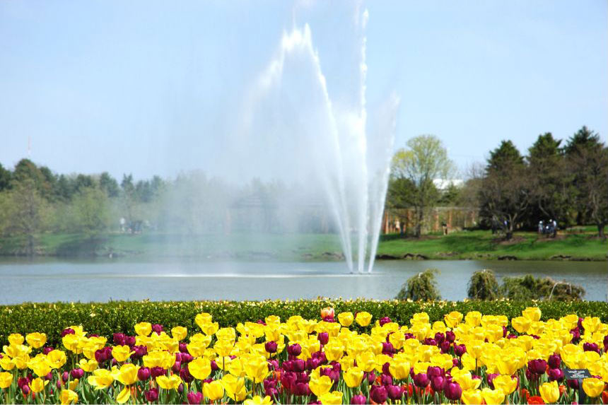 Chicago Botanic Garden 3