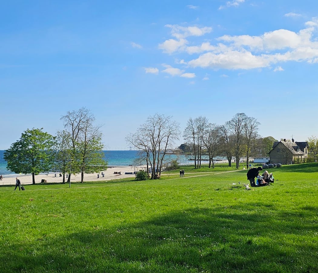Bellevue Beach 3