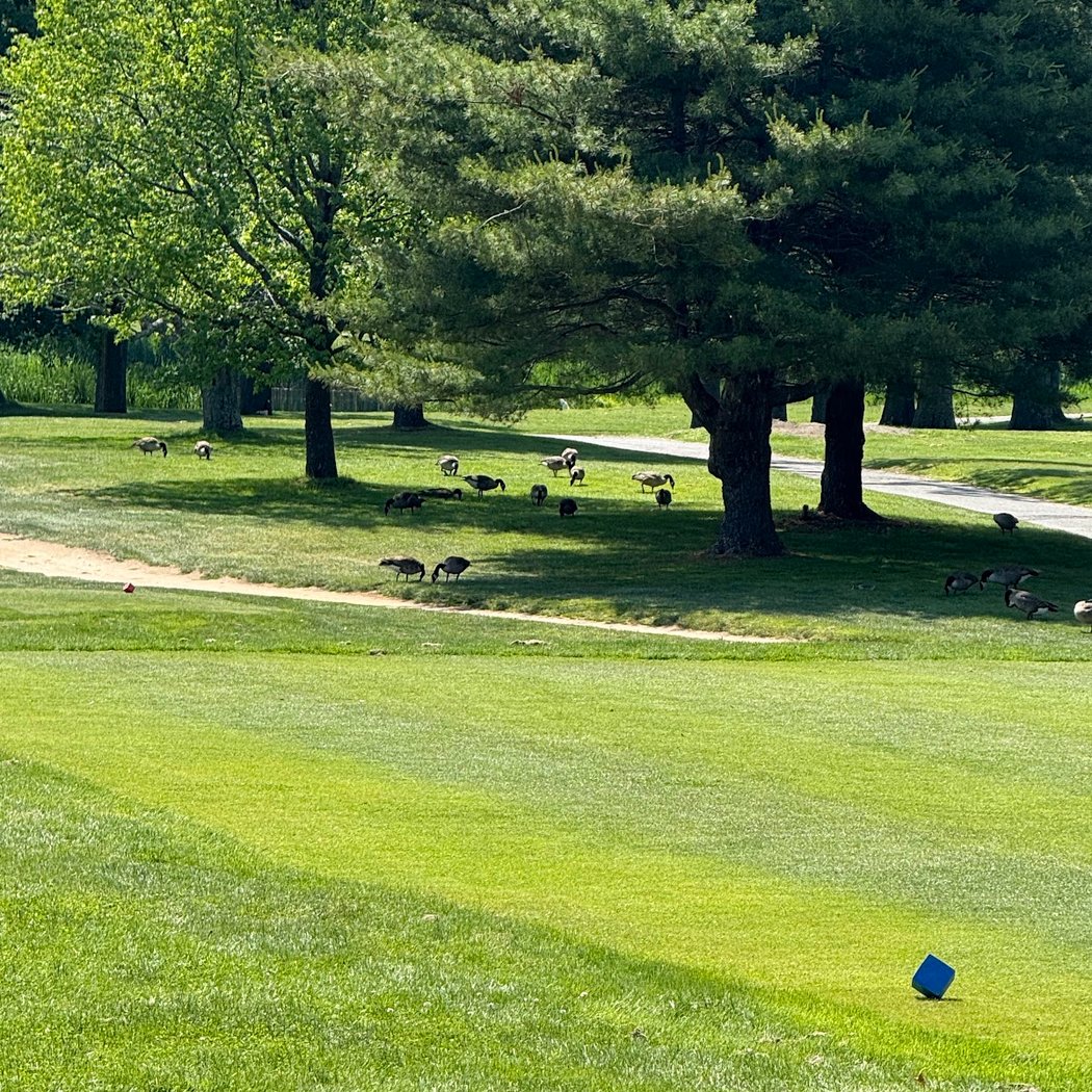Sunken Meadow Golf Course 2
