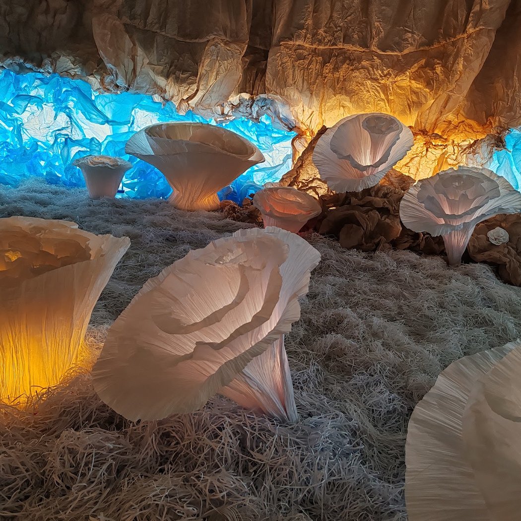 Exposition "L'Océan de Léa" 4