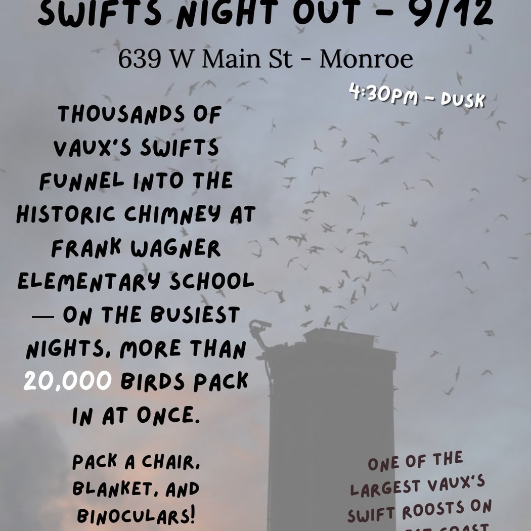 Swifts Night Out 1