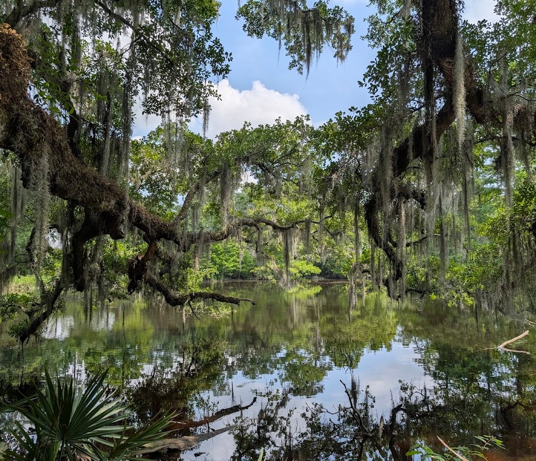 Camp Salmen Nature Park 1