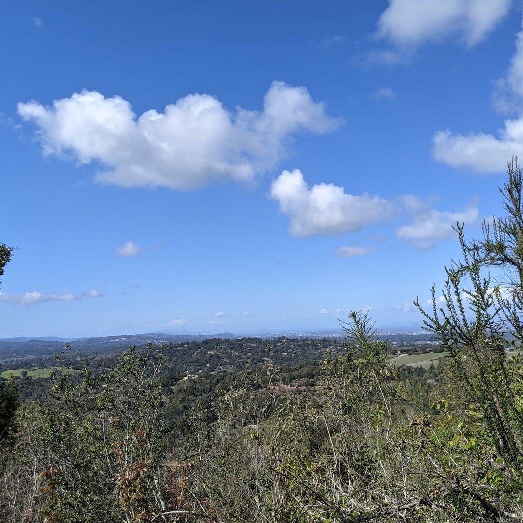 Lee Grove / Orchard Glen 2