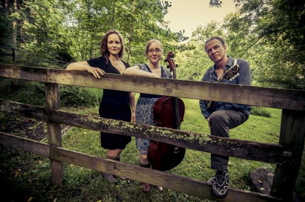 Live Music: Lulu's Fate