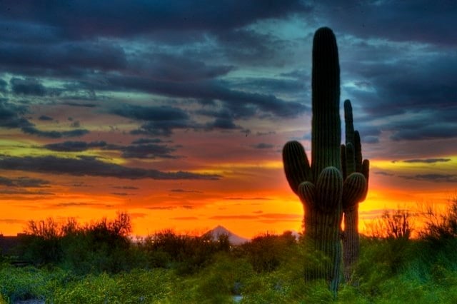 Usery Mountain Regional Park 1