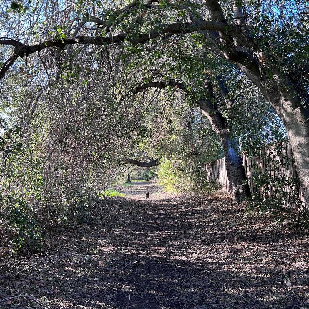 Cuesta Park Annex 2