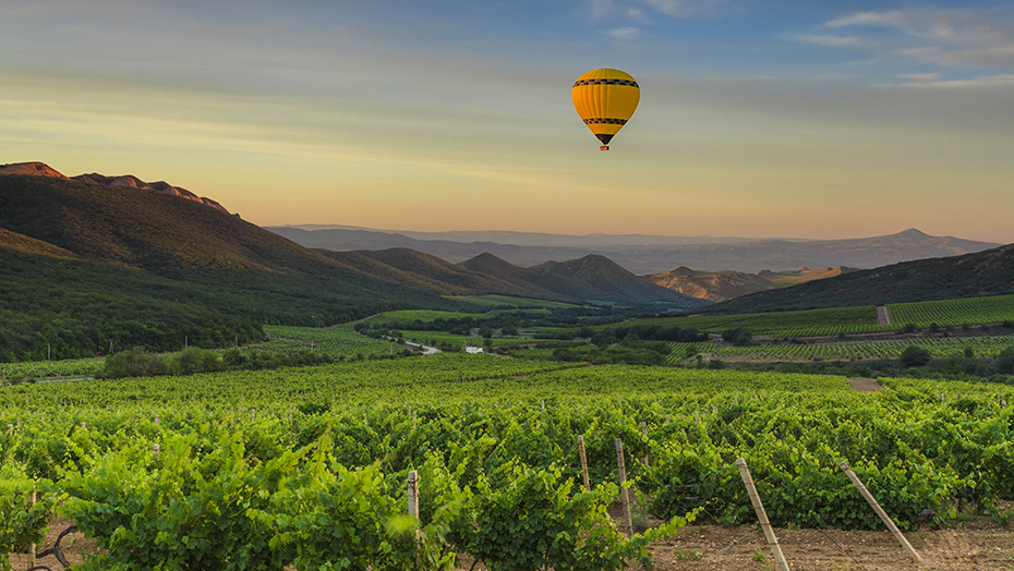 TURKISH WINES 1
