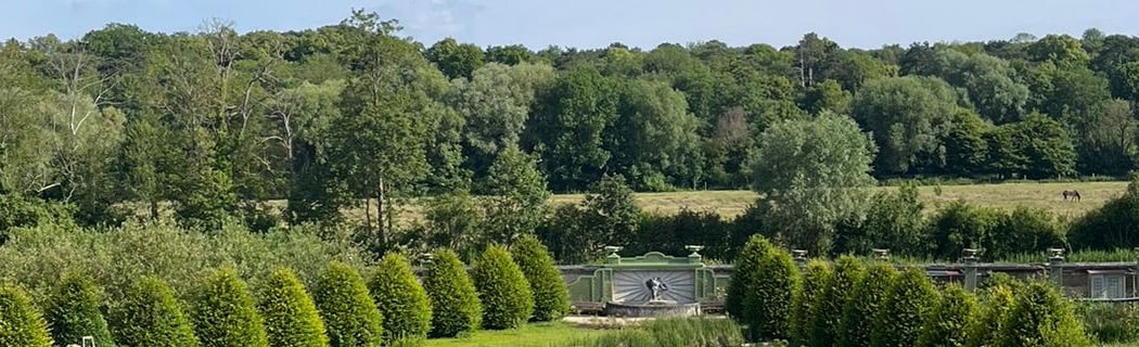 Princes' Vegetable Garden 1