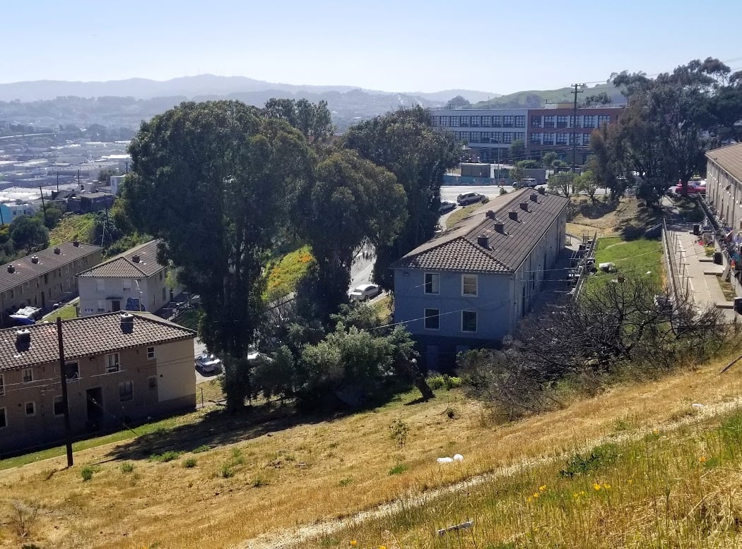 Potrero Terrace 2