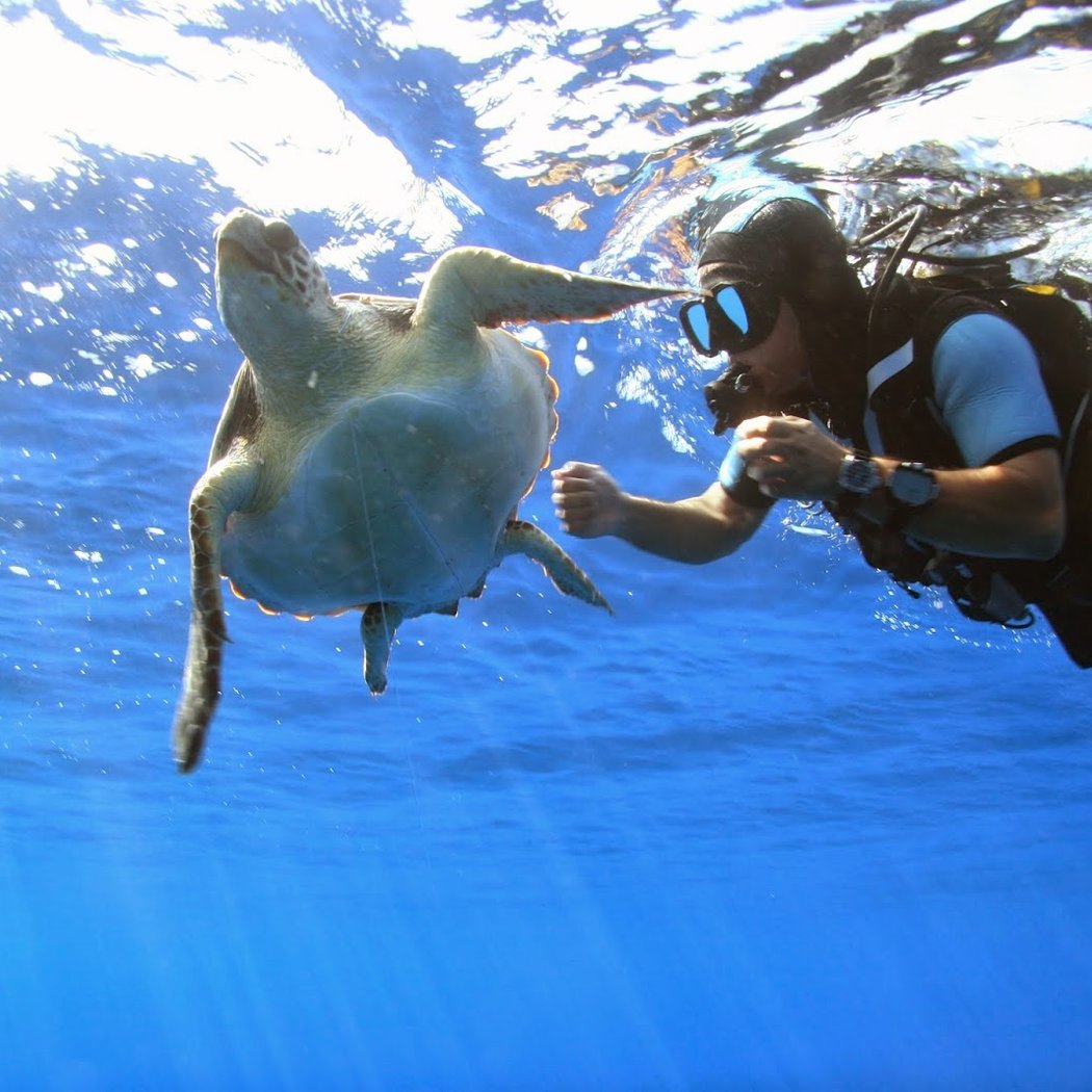 Fundació per la Conservació i Recuperació d'Animals Marins (CRAM) 1