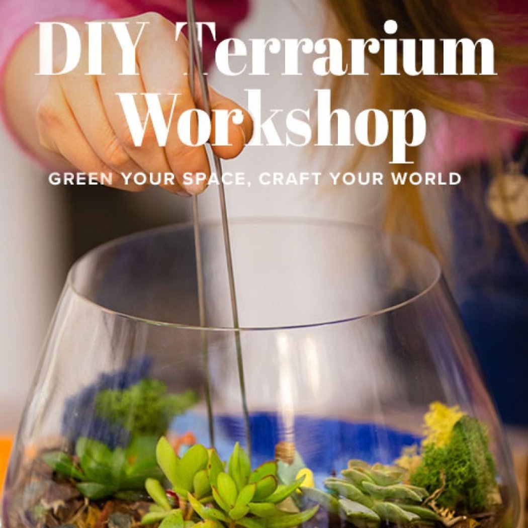 DIY Terrarium Workshop 1