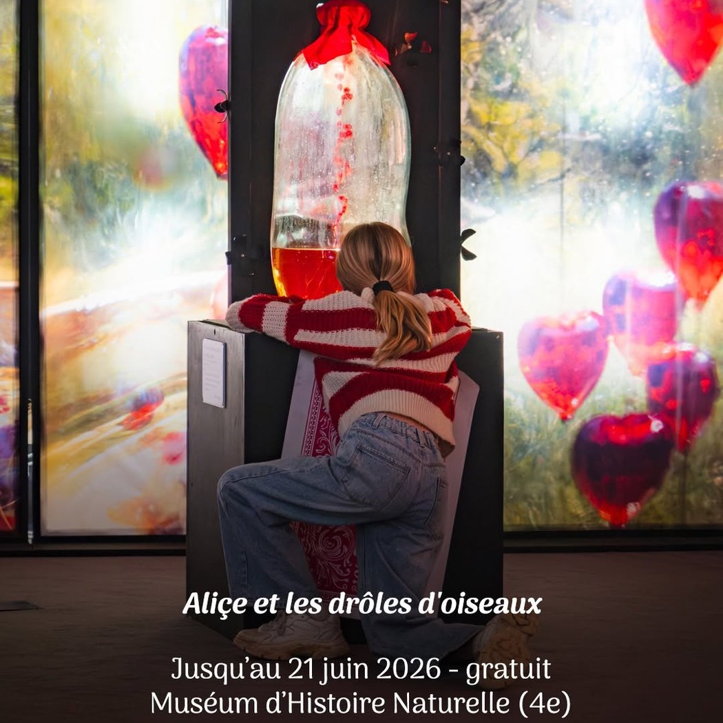 Alice et les drôles d'oiseaux 1