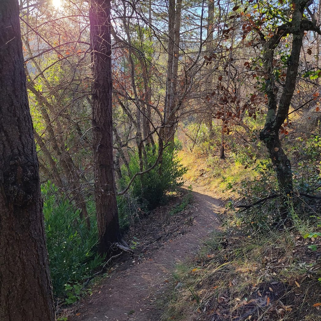Bothe-Napa Valley State Park 3