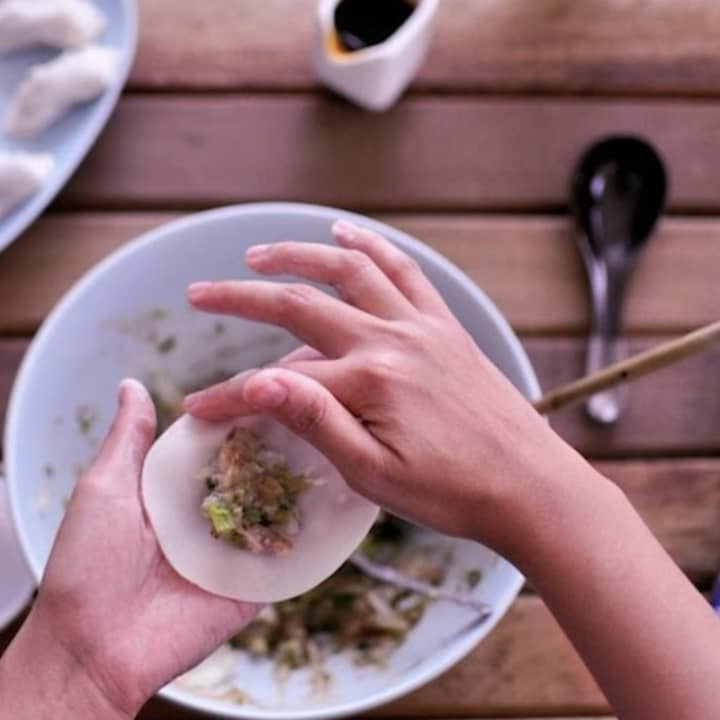 Handmade Dumplings 2