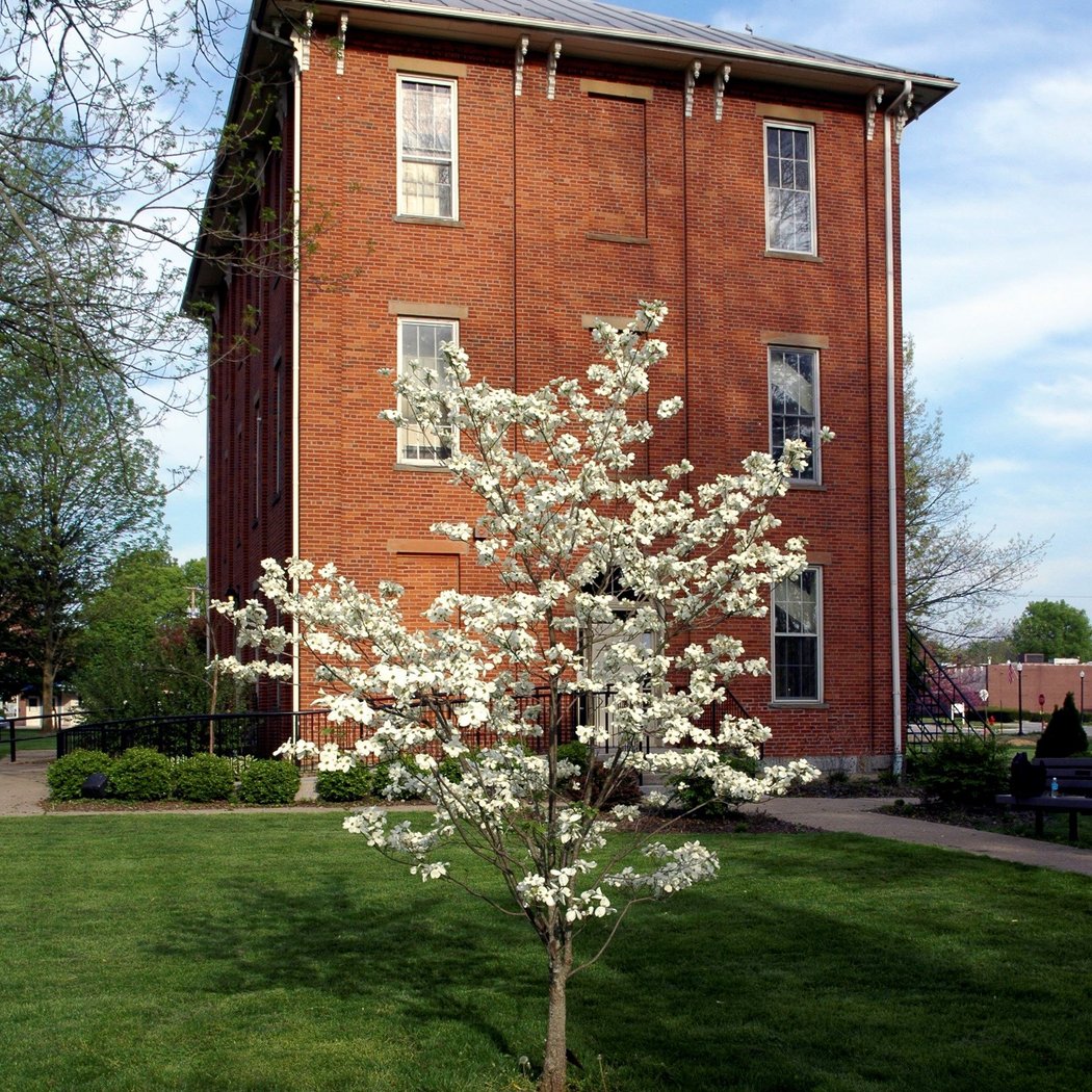 Sunbury Town Hall 3