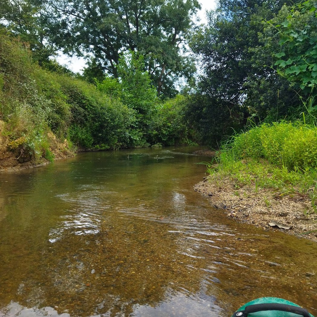 Jungle Canoe 3