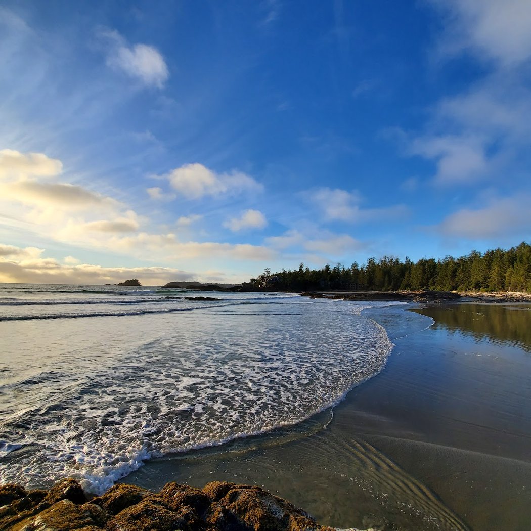 Chesterman Beach 3