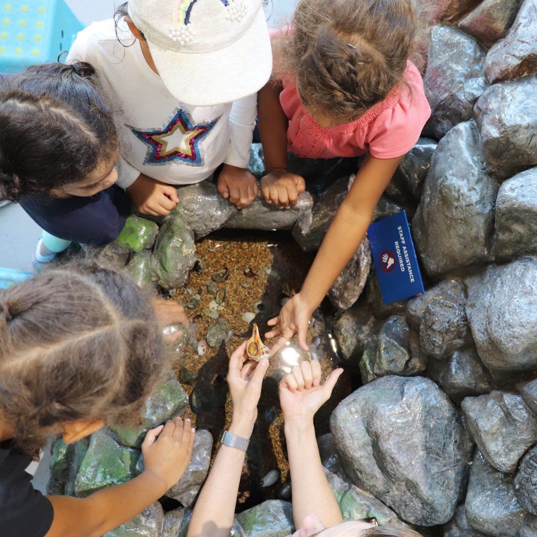 Open Hours at the Environmental Education Center 4