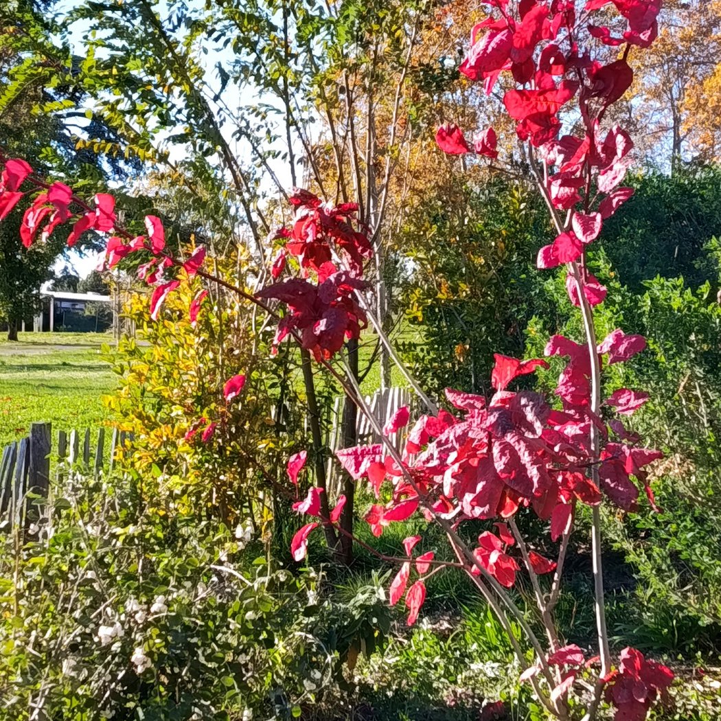 Parc de la Pelouque 3