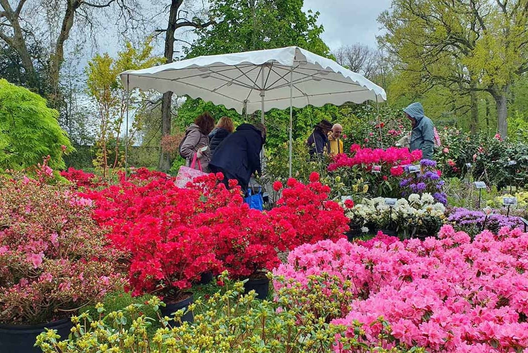 La Fête des Plantes de Printemps 1