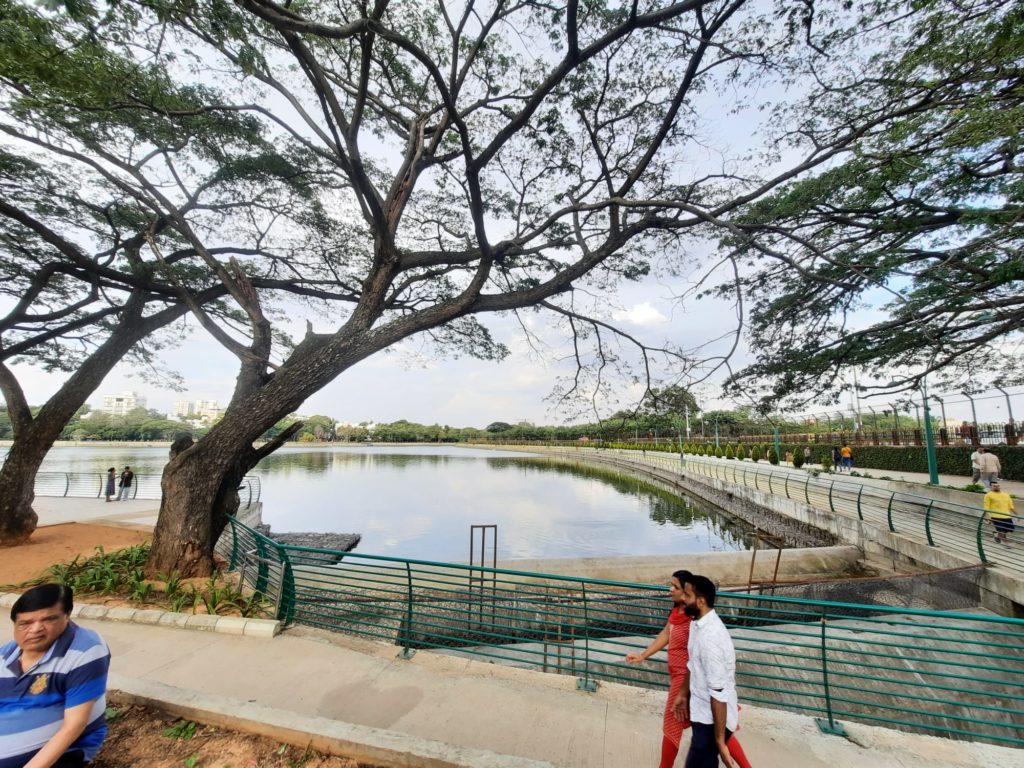 Sankey Tank 2