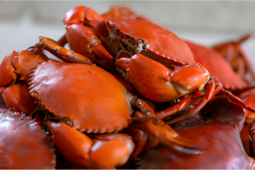 Pacific Empire Chorus Crab Feed 1