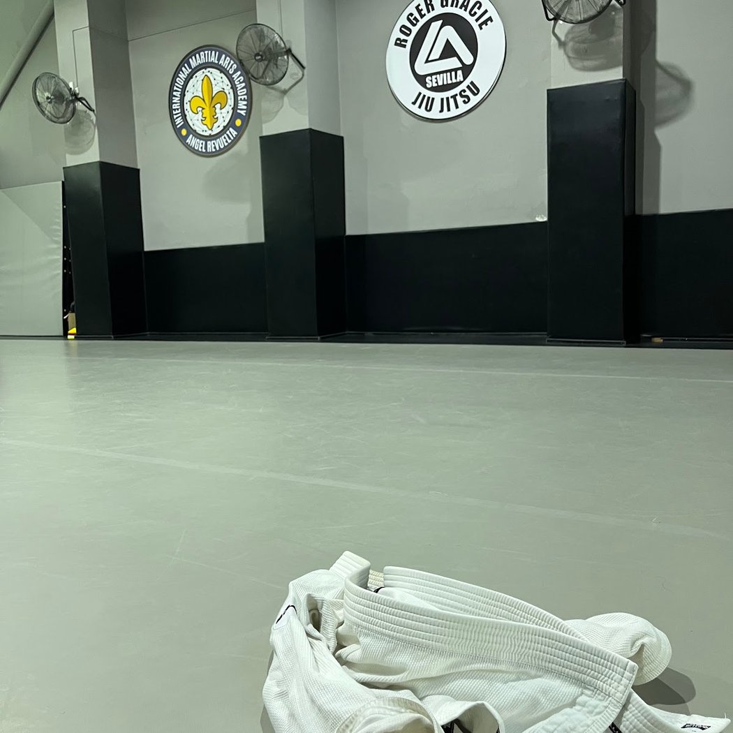 International Martial Arts Academy 1