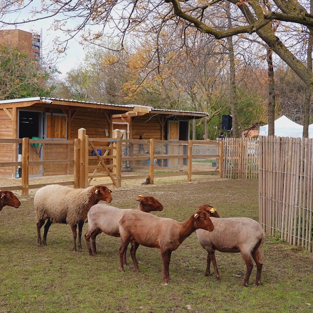 Weekend Festif autour de la Biodiversité 2