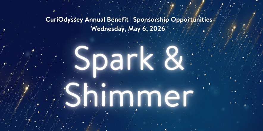 16th Annual CuriOdyssey Benefit: Spark & Shimmer 1
