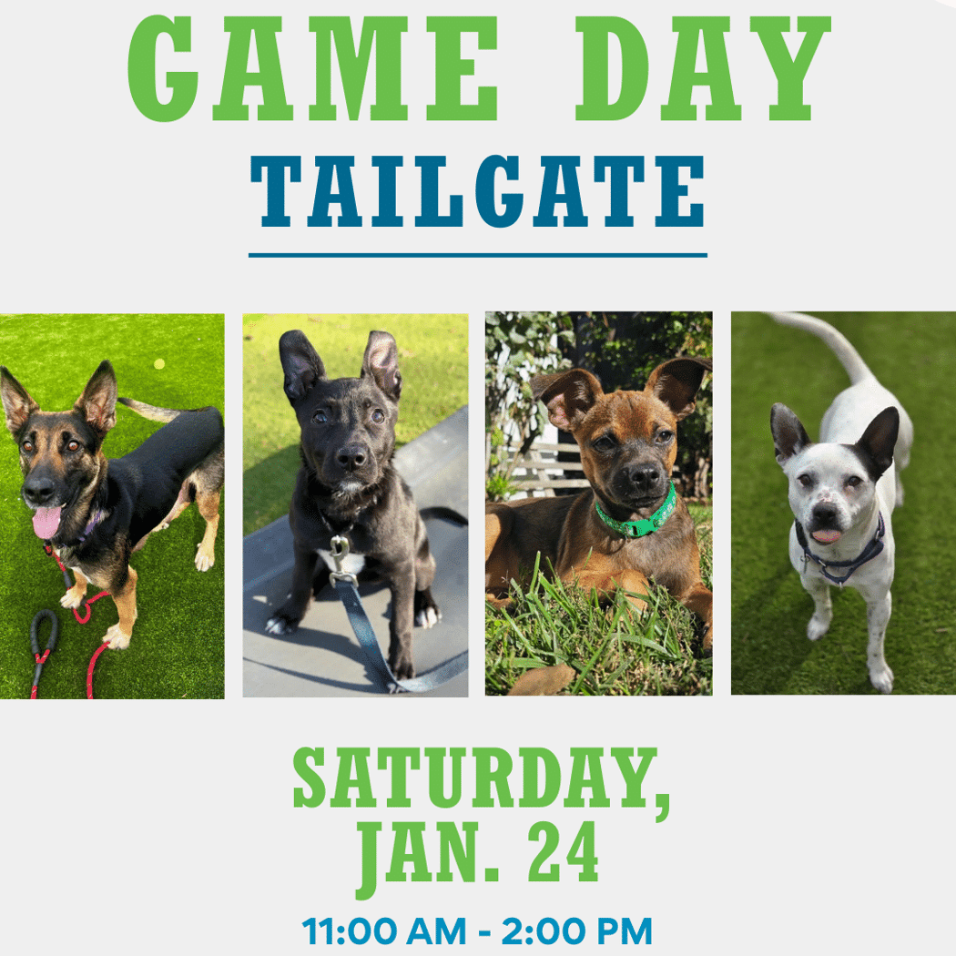 See You at the Tailgate: Meet Your New Best Friend 1