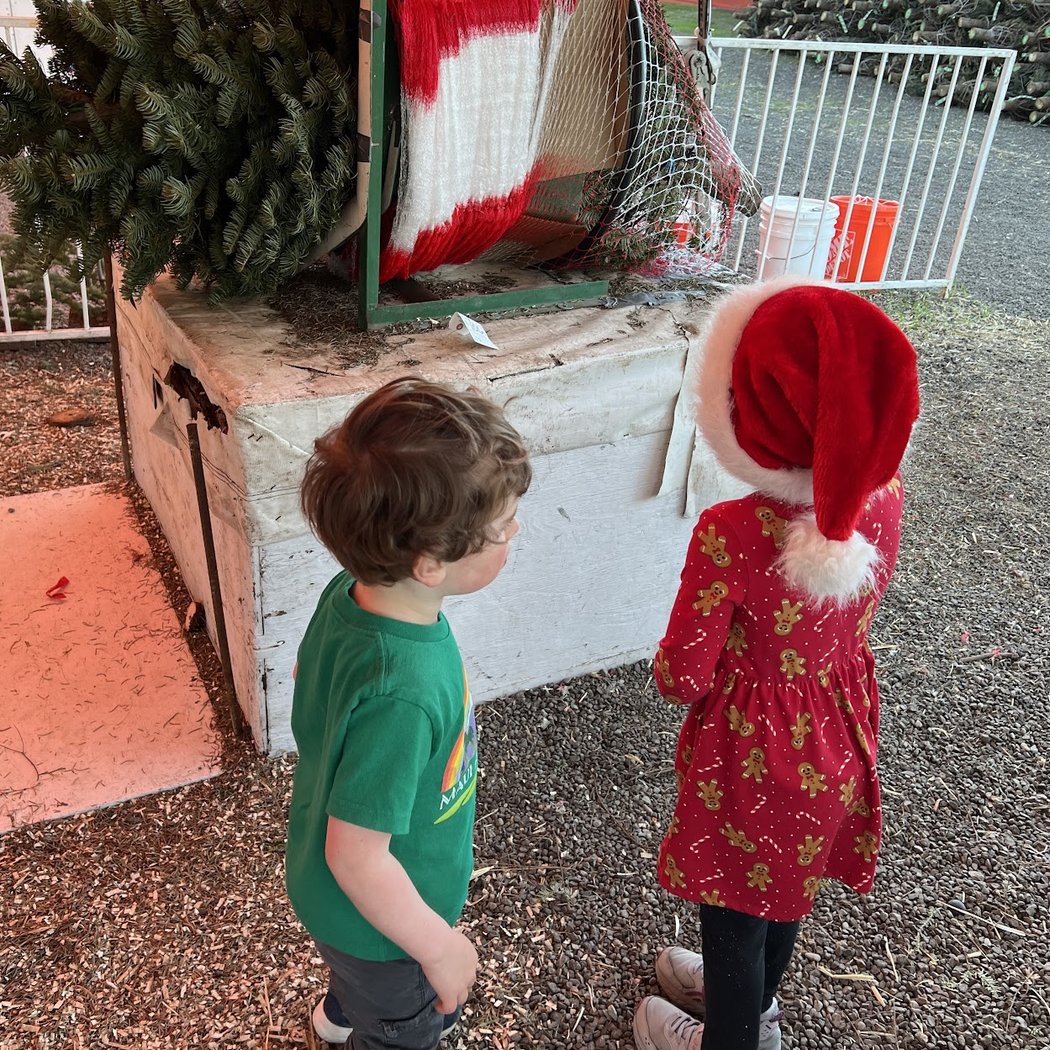 Moore Christmas Trees 1