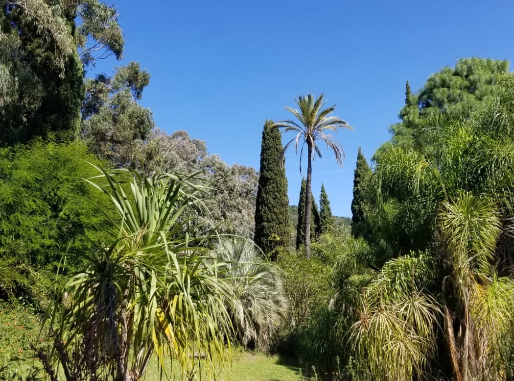Domaine du Rayol, The Mediterranean Gardens 2