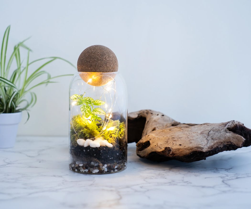 The Signature Terrarium Workshop 1