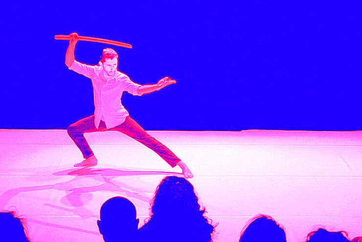 Solo Arts Martiaux 1