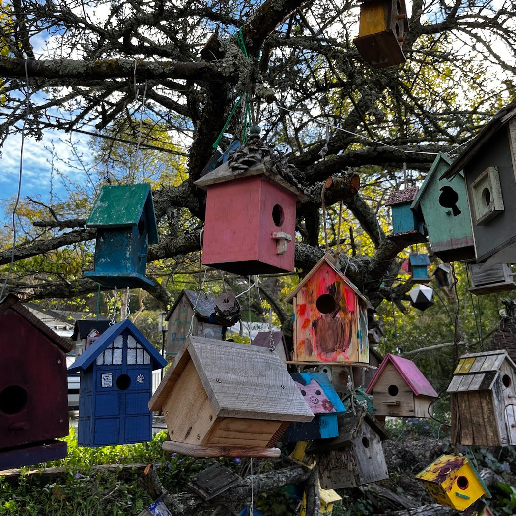 Bird houses 1