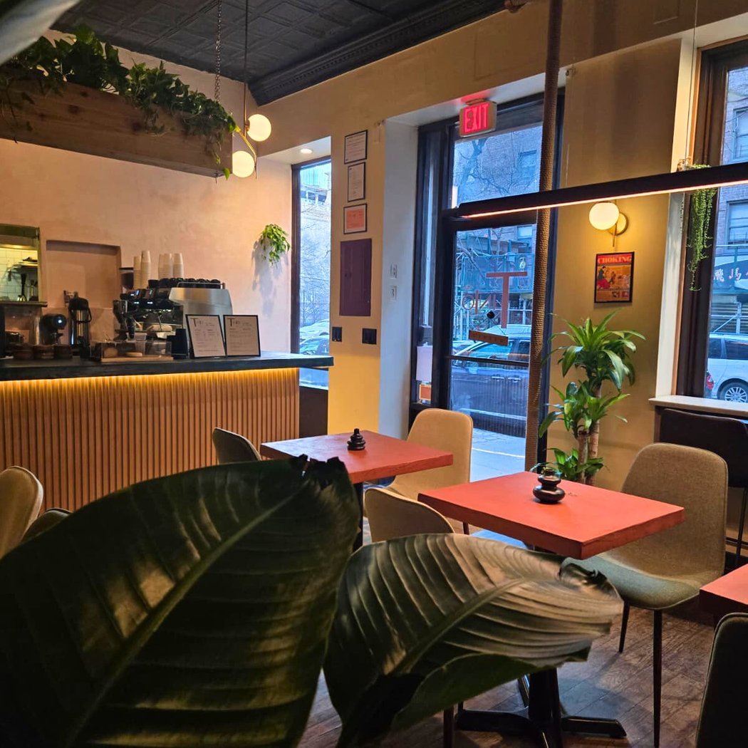 Tinto Café and Bar 4