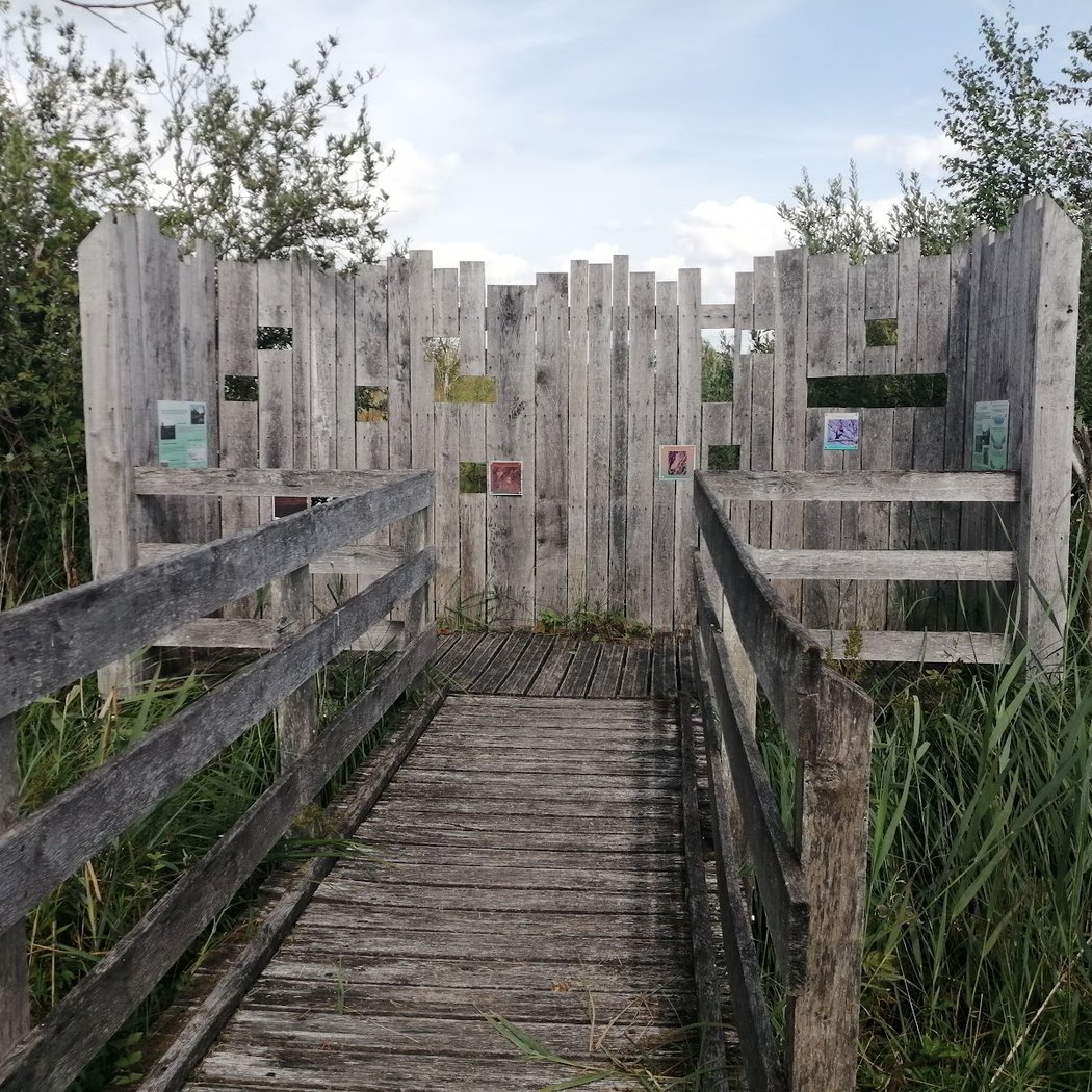 Randonnée "Le Grand Marais de Liesse" 3