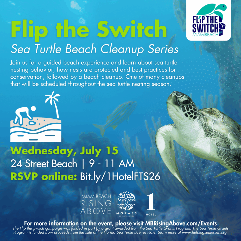 Flip the Switch: Sea Turtle Beach Cleanup 1