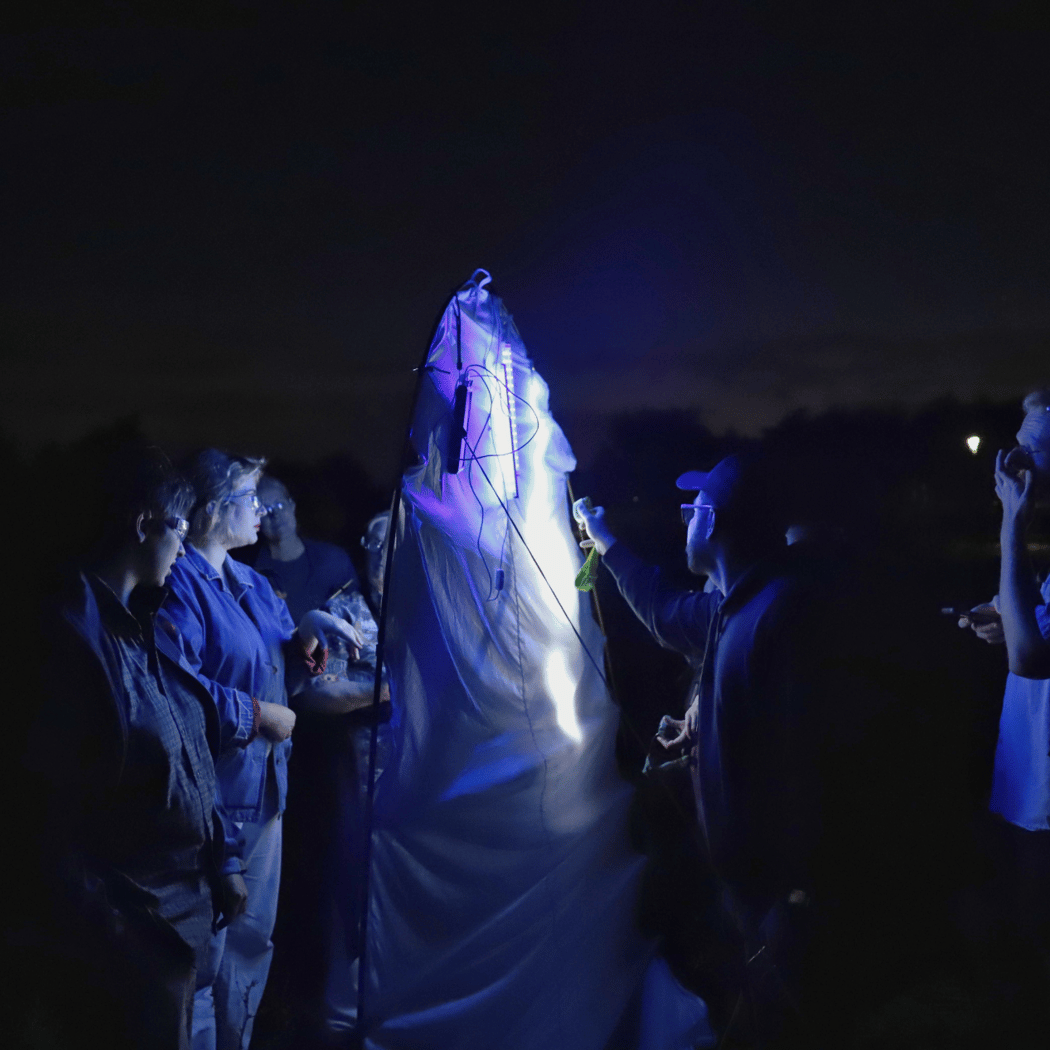 Light Trapping to Identify Night-Flying Insects 1