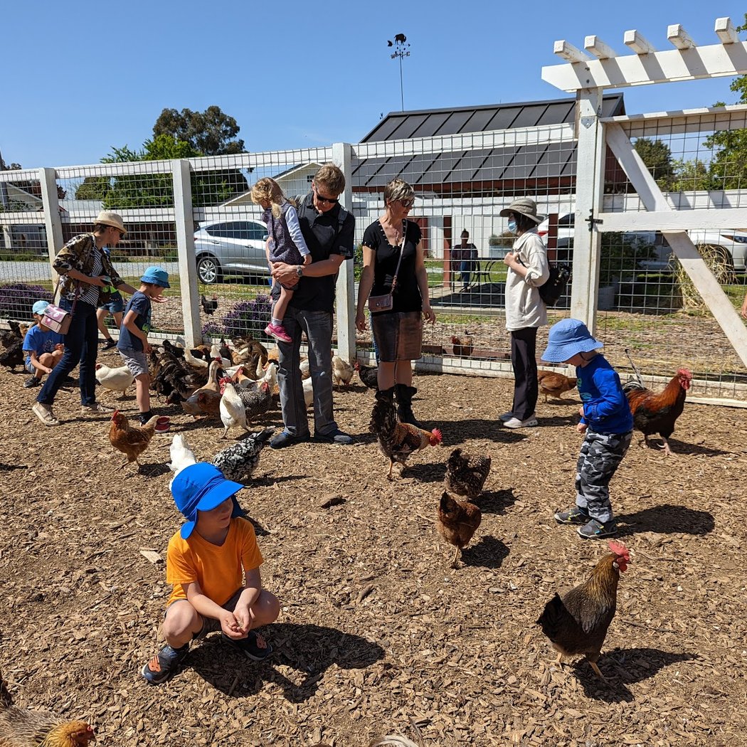 Walk the Farm. Sip the Season. 2