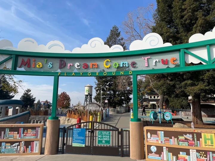 Mia’s Dream Come True: All Abilities Playground 3