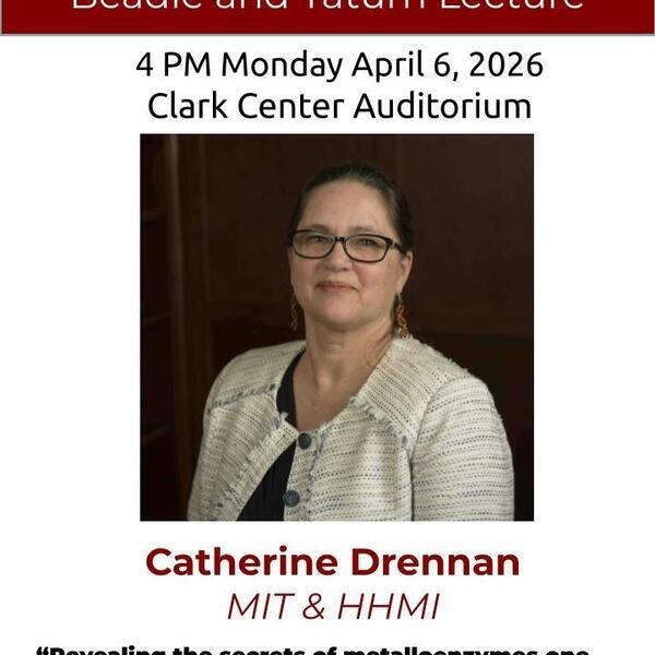 Catherine Drennan Talk 1