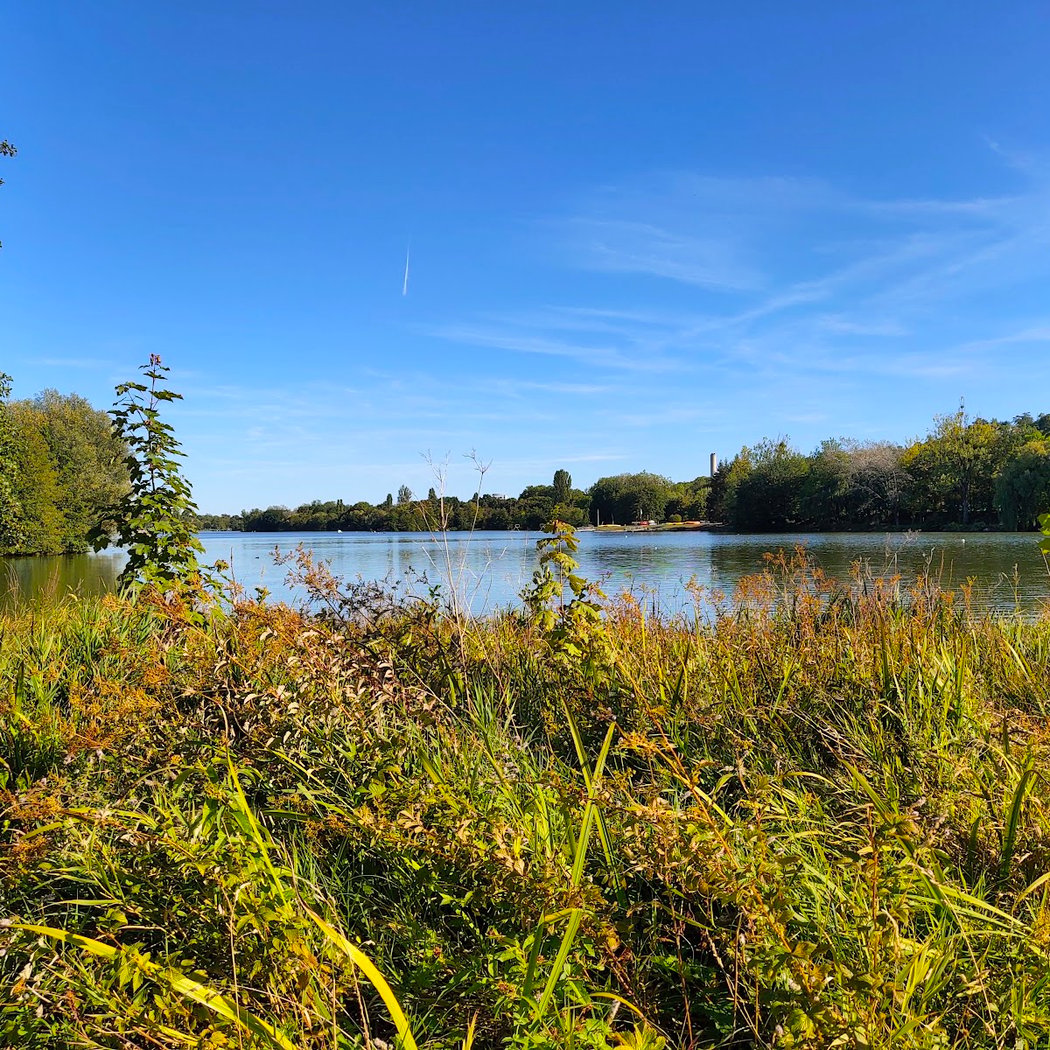 Kir Lake 4
