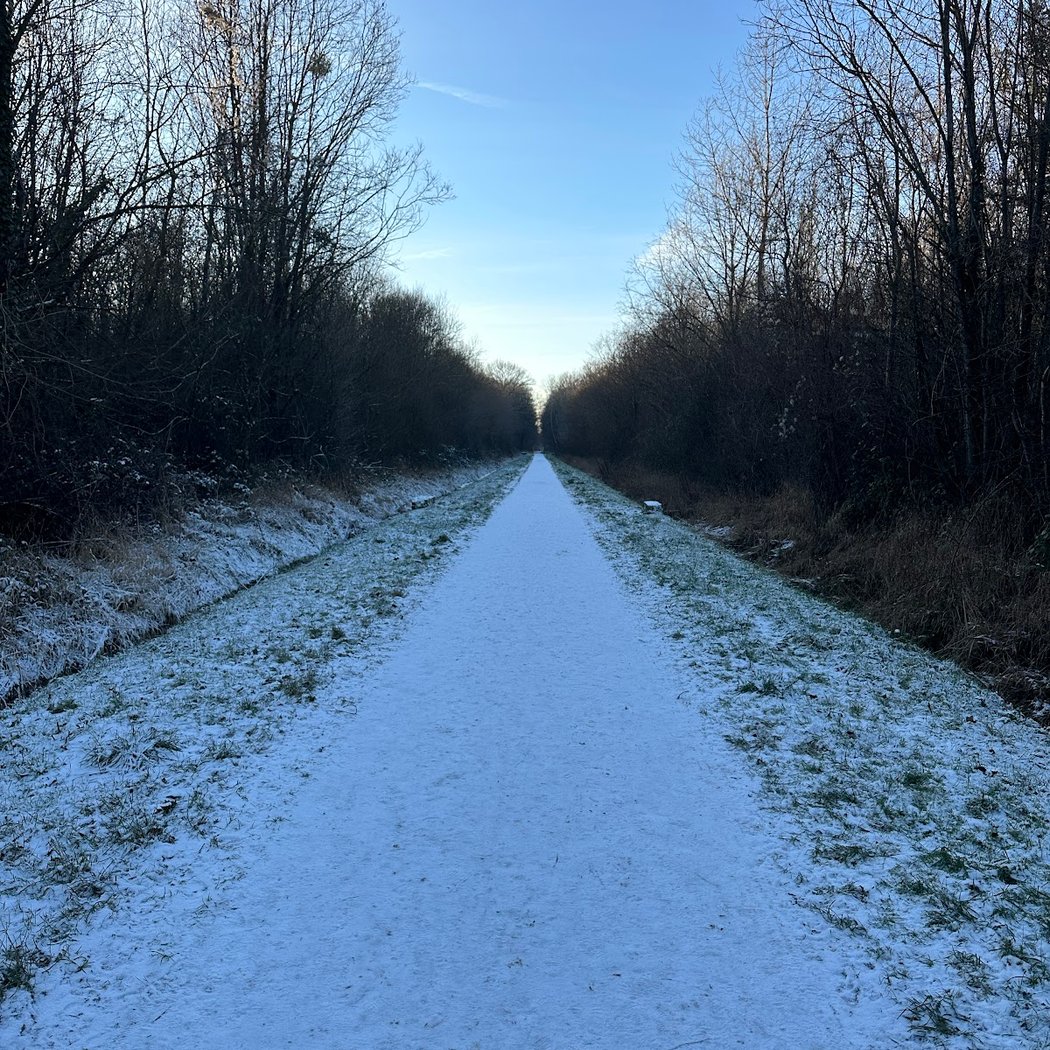 Forêt Régionale de Ferrières 3