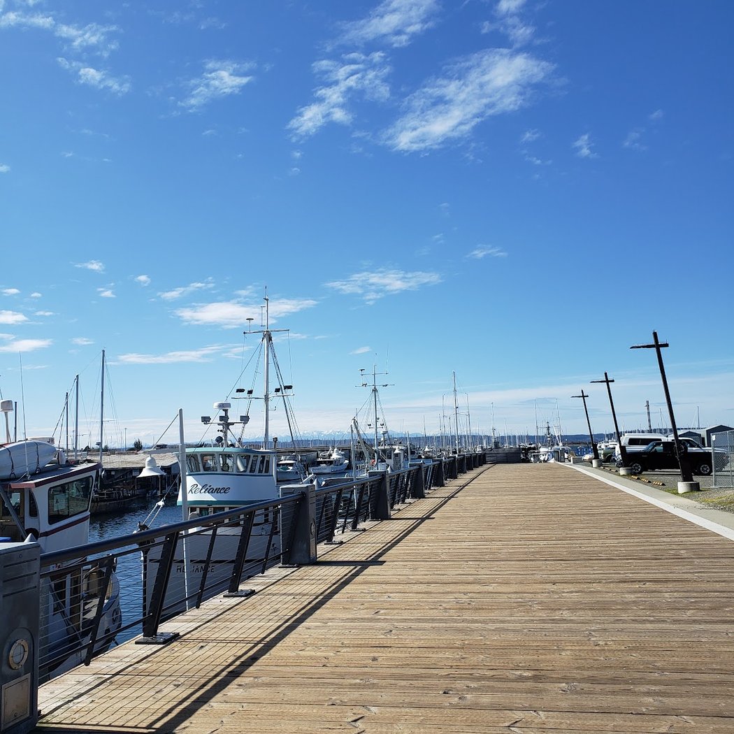 Harbor Hopper 3