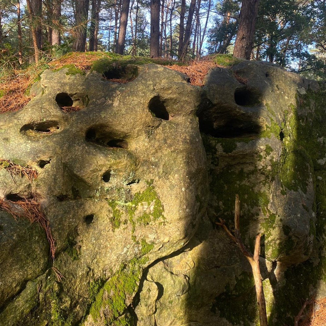 Sentier des carriers 3