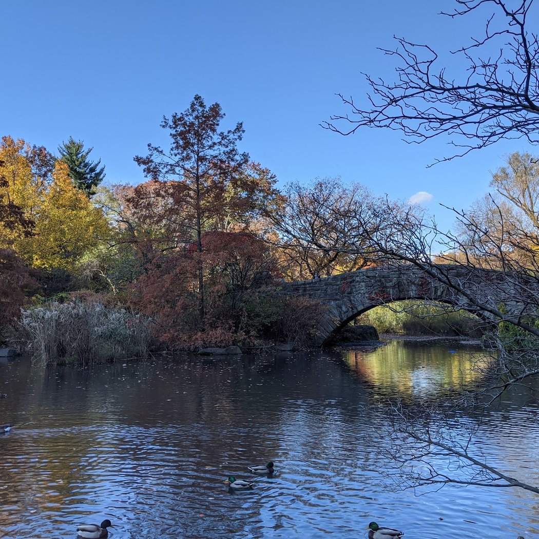 Central Park S 1