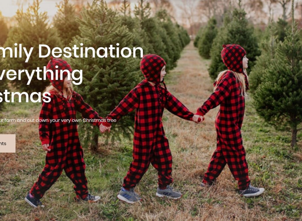 Santa's Christmas Tree Farm LI 2