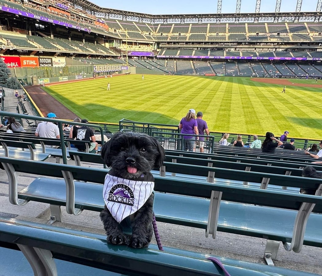 Bark at the Park 3