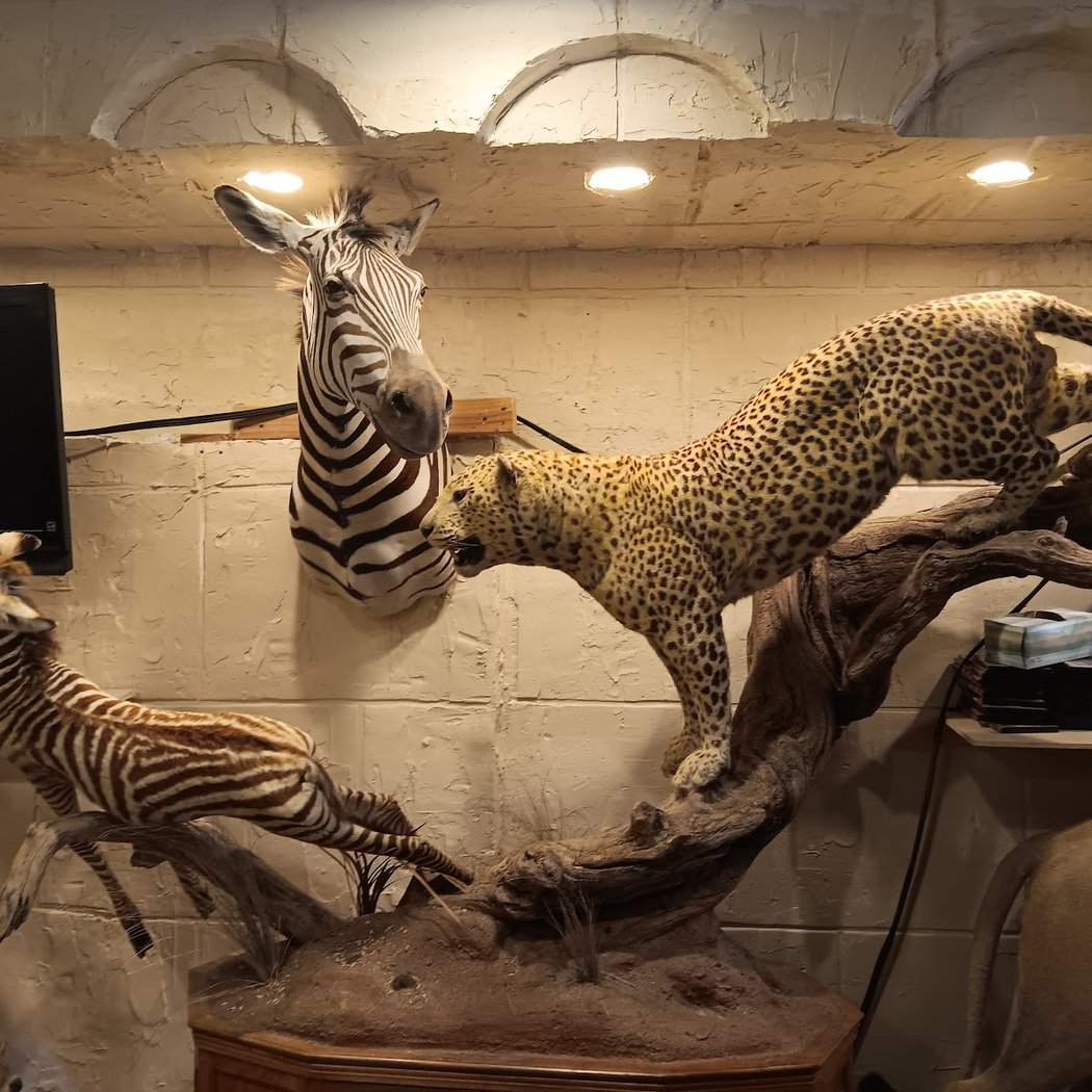 Living Torah Museum 2